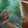 RIMG0352.jpg RIMG0352.jpg