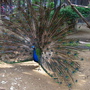 RIMG0366.jpg RIMG0366.jpg