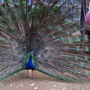 RIMG0370.jpg RIMG0370.jpg