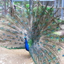 RIMG0371.jpg RIMG0371.jpg