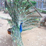 RIMG0373.jpg RIMG0373.jpg