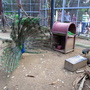 RIMG0376.jpg RIMG0376.jpg