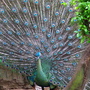 RIMG0380.jpg RIMG0380.jpg