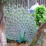 RIMG0381.jpg RIMG0381.jpg