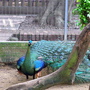 RIMG0384.jpg RIMG0384.jpg