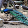 RIMG0387.jpg RIMG0387.jpg