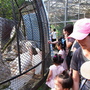 RIMG0388.jpg RIMG0388.jpg