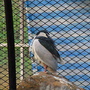 RIMG0394.jpg RIMG0394.jpg