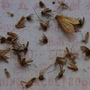 RIMG0577.JPG RIMG0577.JPG