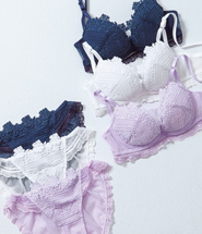 recommended_160127bra.jpg