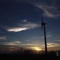 Windmill3_1