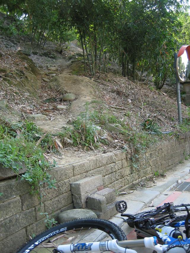 IMG_0555_1.JPG IMG_0555_1.JPG