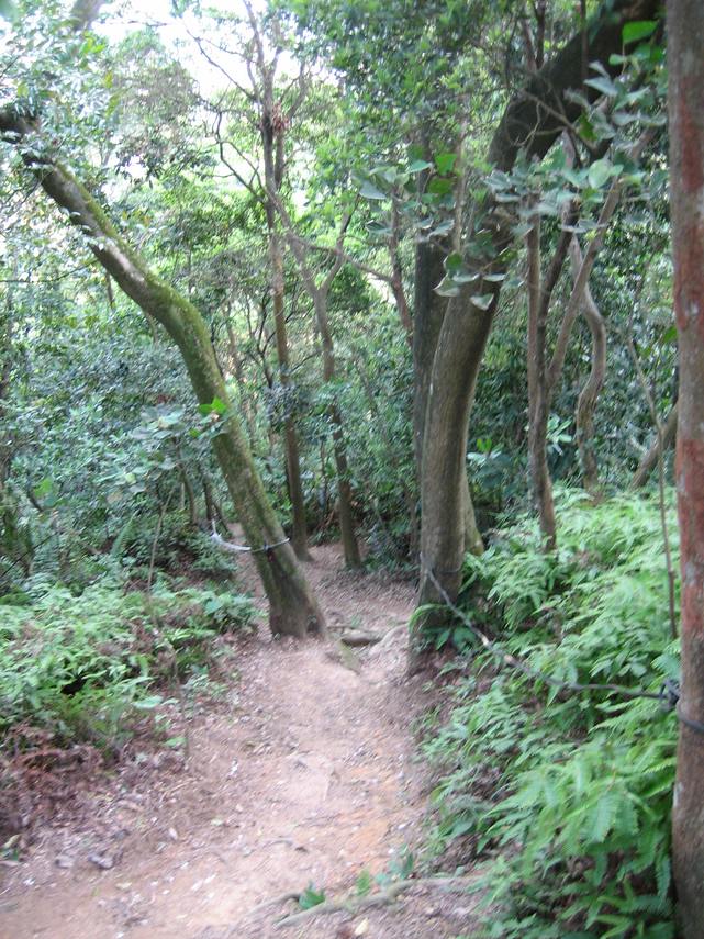 IMG_0587_1.JPG IMG_0587_1.JPG