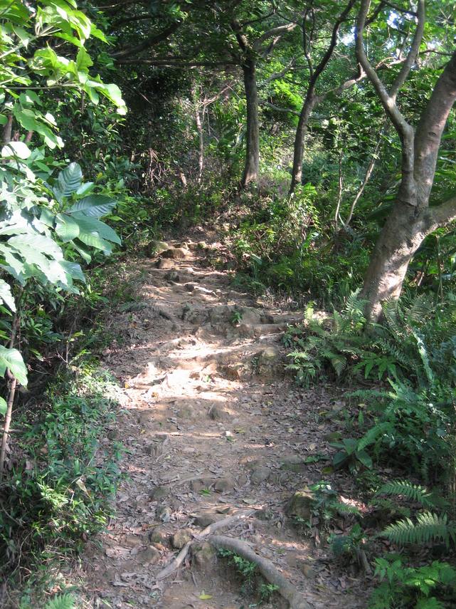 IMG_0592_1.JPG IMG_0592_1.JPG
