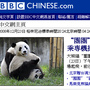 Kina Panda.jpg
