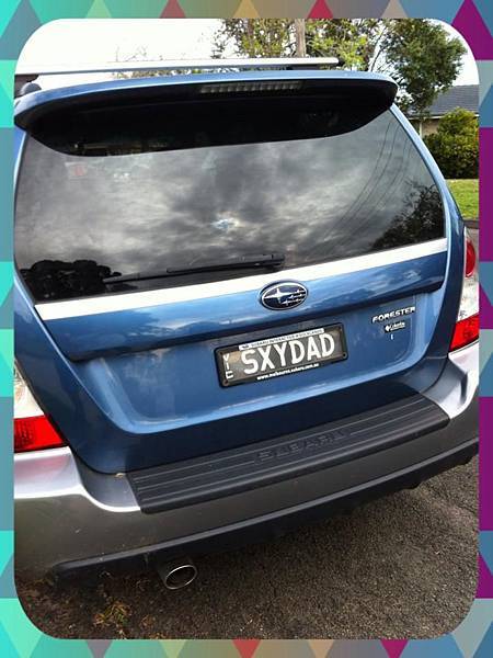 14344294_1462804687068058_8440002271391701463_n.jpg 14344294_1462804687068058_8440002271391701463_n.jpg