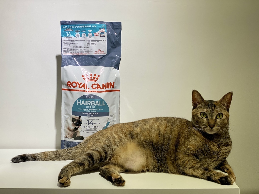 法國皇家 ROYAL CANIN IH34有效化毛乾濕糧｜貓