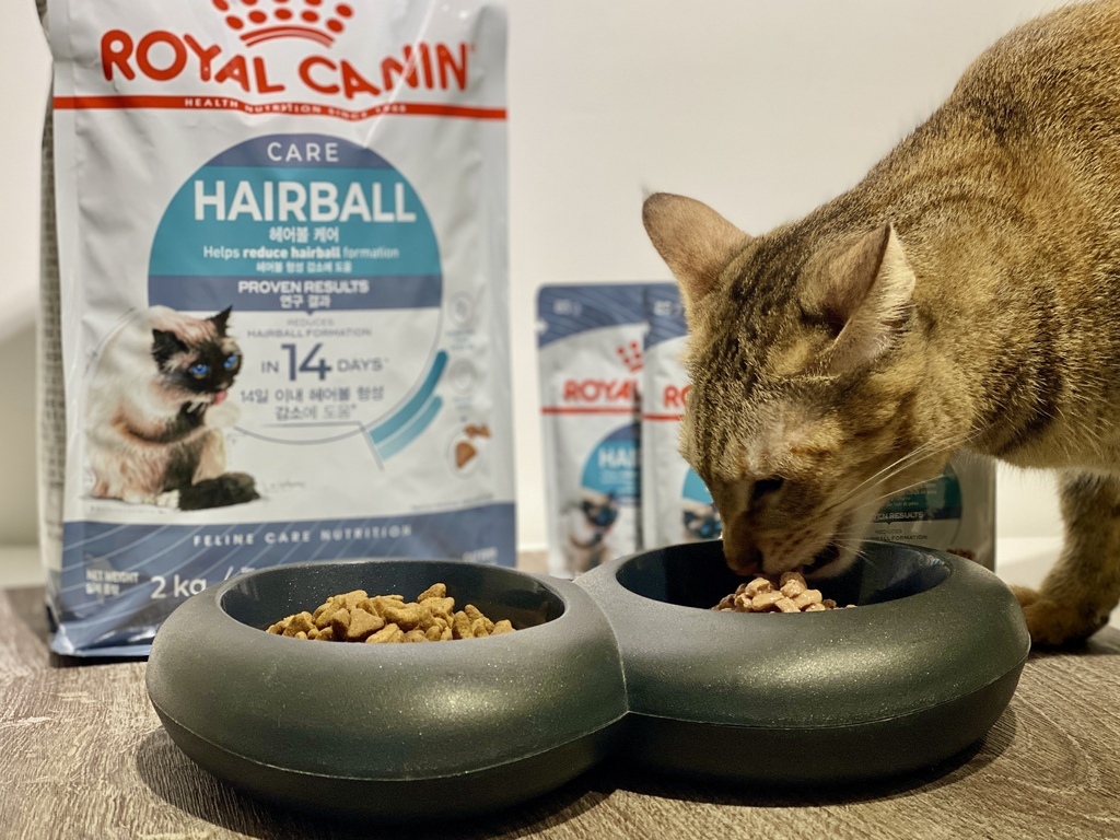 法國皇家 ROYAL CANIN IH34有效化毛乾濕糧｜貓