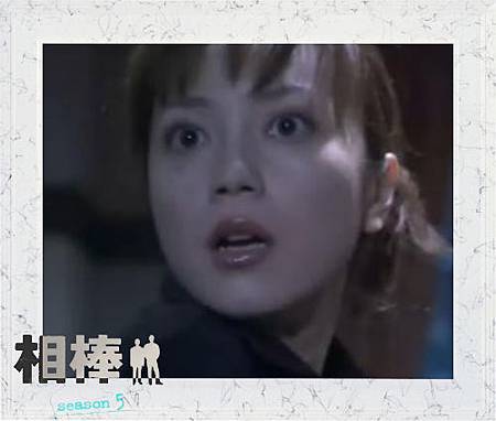 相棒之花 截至龜山離去 正義之光的部落格 痞客邦 相棒之花 截至龜山離去 正義之光的部落格 痞客邦