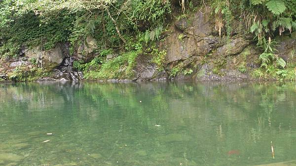 碧湖