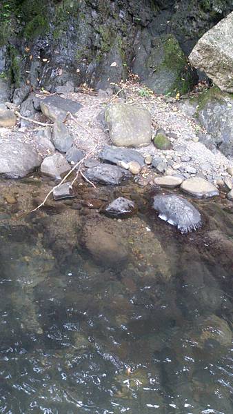 碧湖