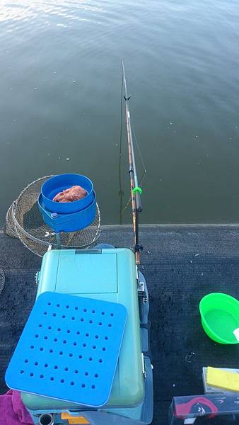 雙十黑公 雙十黑公