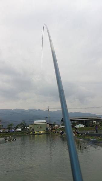 雙十黑公 雙十黑公