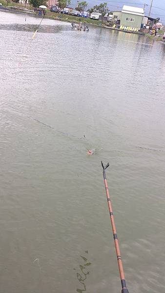 雙十黑公 雙十黑公