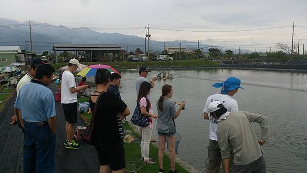 雙十黑公 雙十黑公