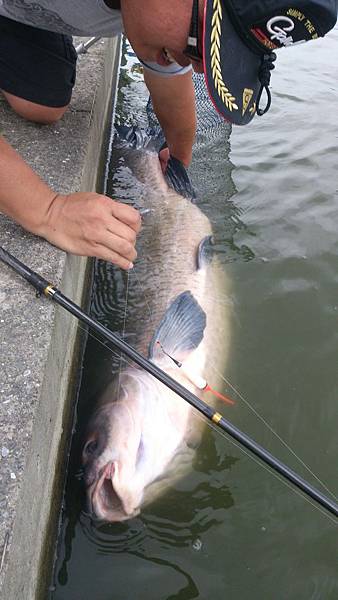 雙十黑公 雙十黑公