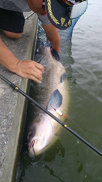 雙十黑公 雙十黑公