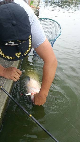 雙十黑公 雙十黑公