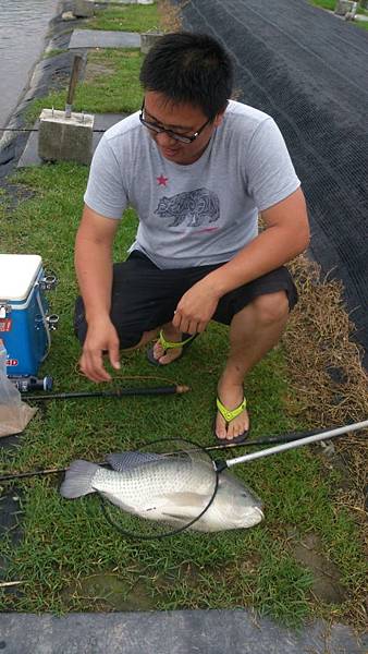 雙十黑公 雙十黑公