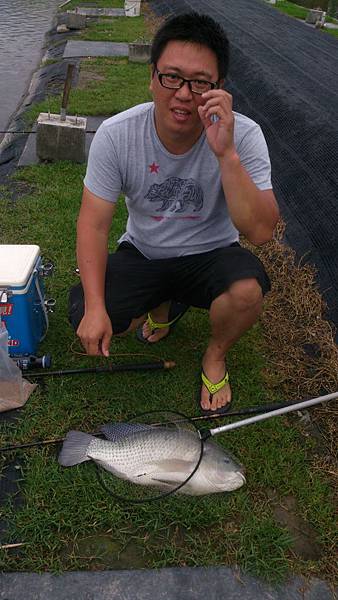 雙十黑公 雙十黑公