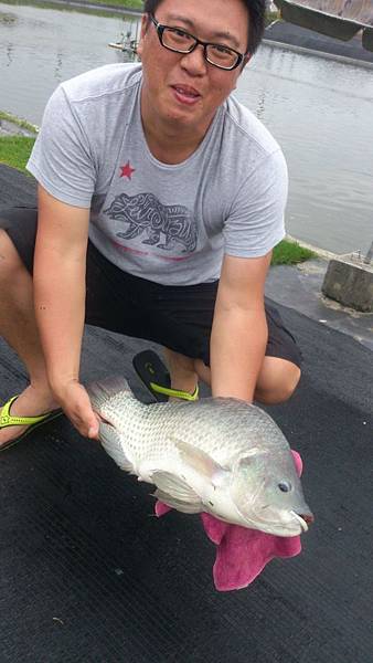 雙十黑公 雙十黑公