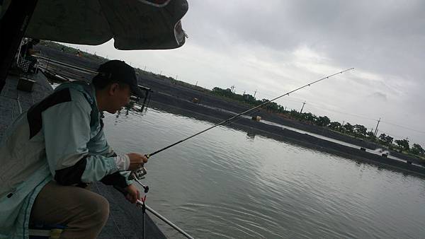 池邊童趣 池邊童趣