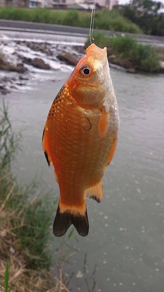 癡漢幻影 癡漢幻影