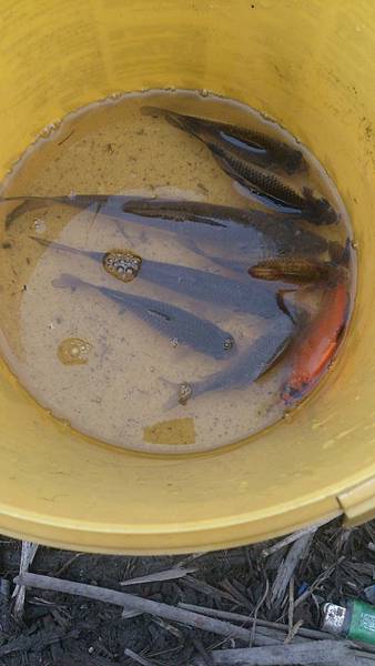 癡漢幻影 癡漢幻影