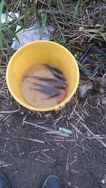 癡漢幻影 癡漢幻影