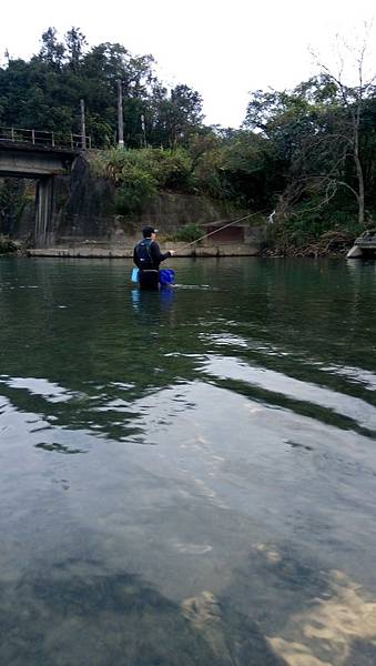 無鯽可施 無鯽可施