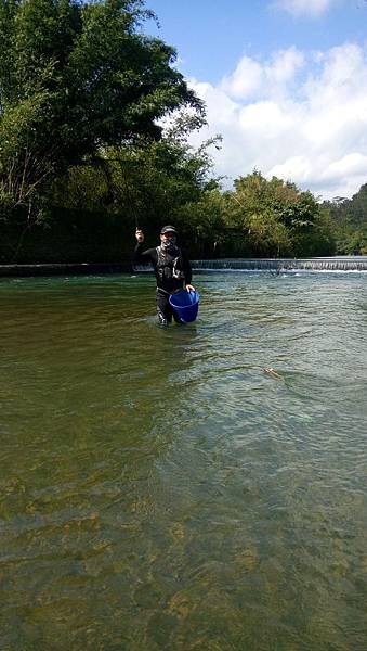 無鯽可施 無鯽可施