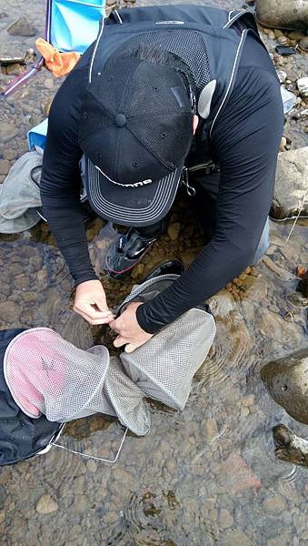 無鯽可施 無鯽可施