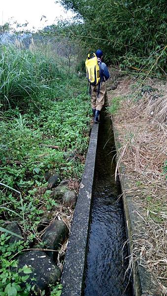 枋腳溪況 枋腳溪況