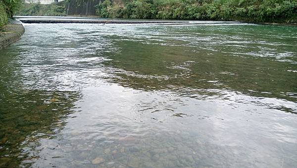 枋腳溪況 枋腳溪況