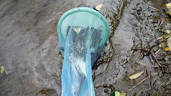 枋腳溪況 枋腳溪況