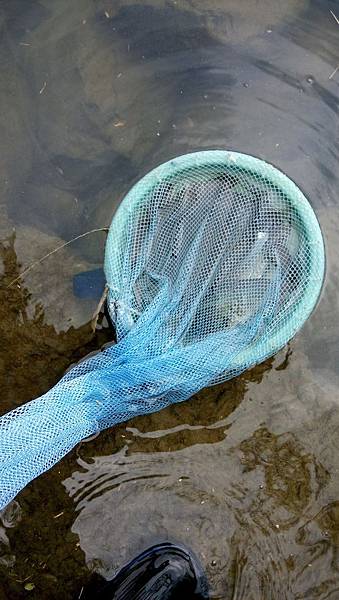 枋腳溪況 枋腳溪況