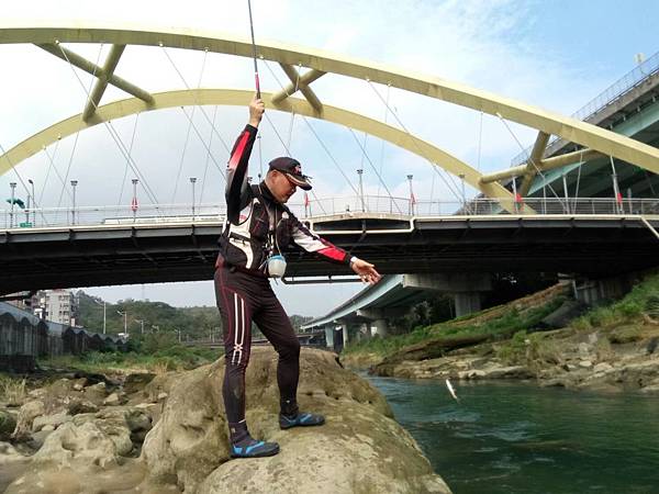 1477223645006.jpg 1477223645006.jpg