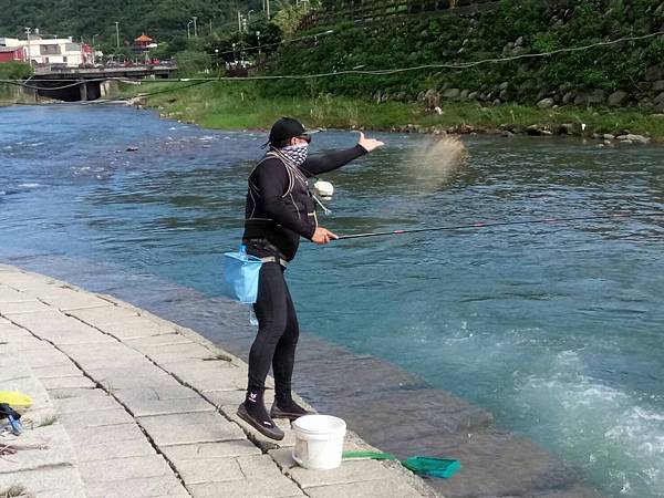 1477223690334.jpg 1477223690334.jpg