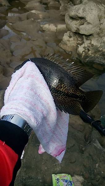 DSC_0024.JPG DSC_0024.JPG