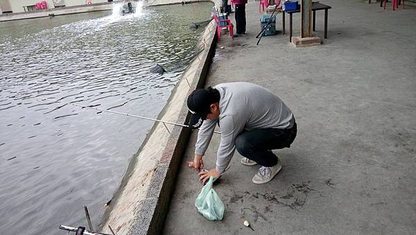 DSC_0003.JPG DSC_0003.JPG